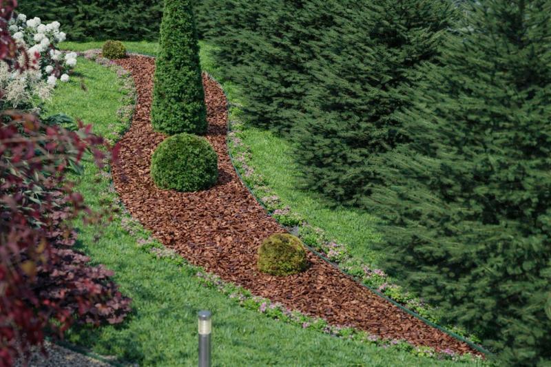 клумбы, ландшафтный дизайн