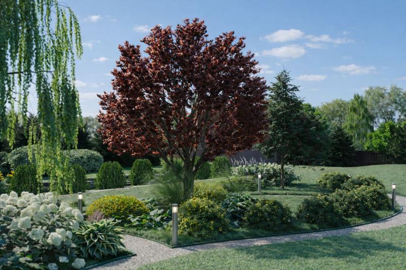 ландшафт, ландшафтный дизайн