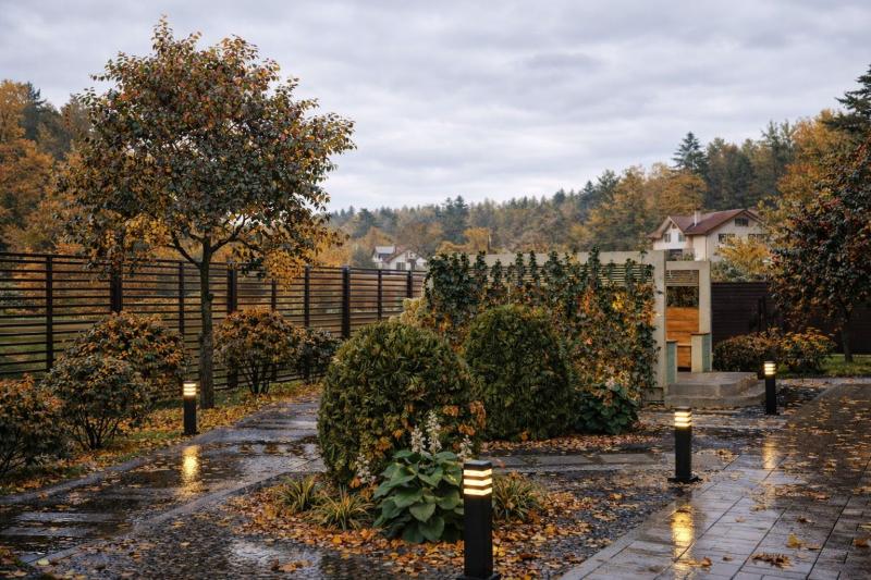 ландшафт, ландшафтный дизайн