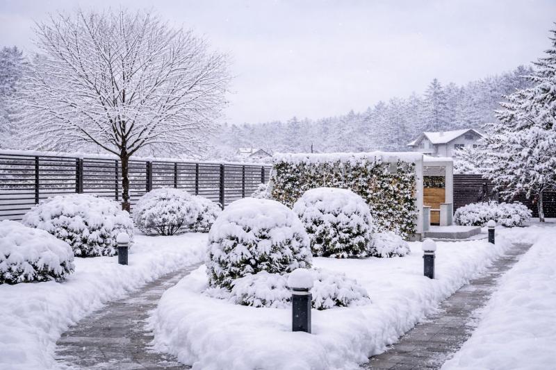 ландшафт, ландшафтный дизайн, зимний вид участка