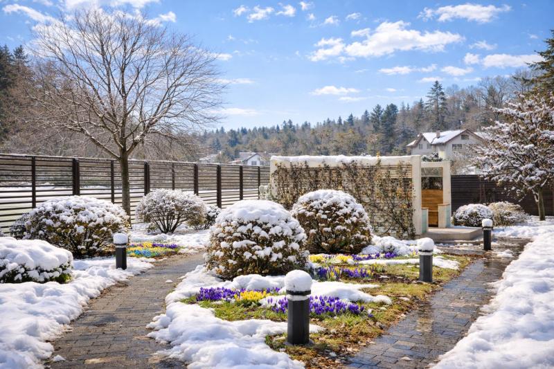 ландшафт, ландшафтный дизайн, весенний вид участка